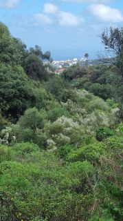 2024-01-GranCan-Barranco_de_los_Cernicalos-098.jpg